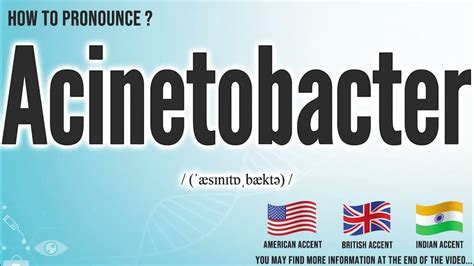acinetobacter pronunciation